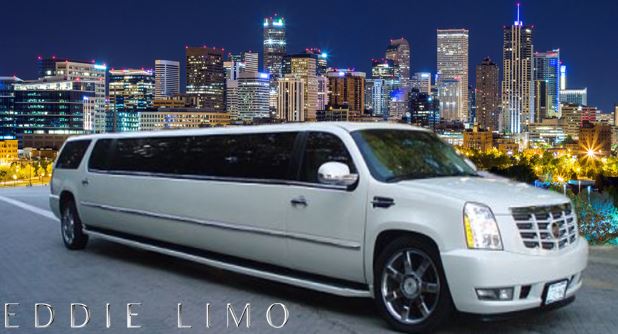 go shuttle and limousine denver