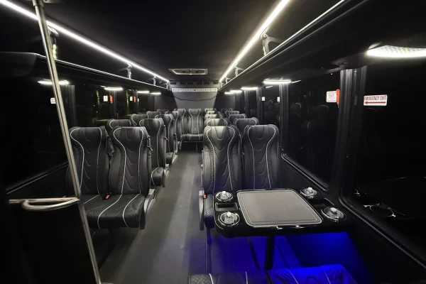 Luxury Mini Bus Limo 2