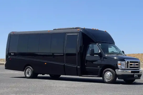 Luxury Mini Bus Limo 5