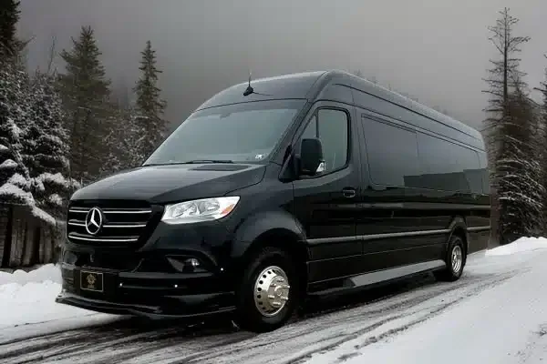 Limo Service from Denver Airport